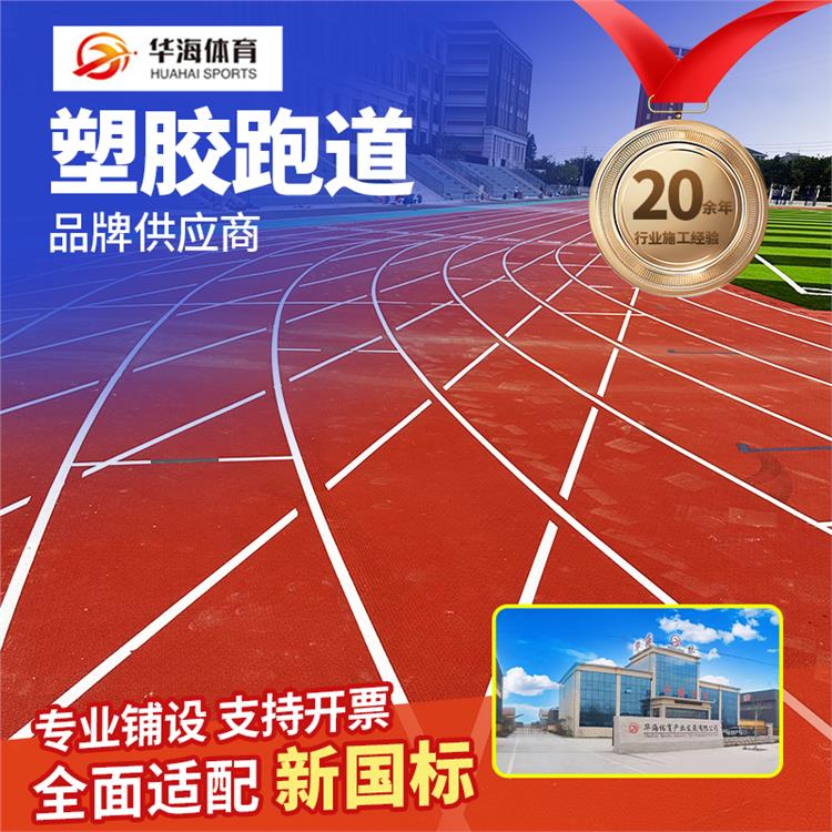 丽江市人造草坪预制型橡胶跑道 - 方案